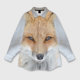 Мужская рубашка oversize 3D с принтом Лиса в Новосибирске,  |  | Тематика изображения на принте: animal | baby | fox | look | predator | red | sly | wild | взгляд | дикая | животное | лиса | малыш | рыжая | хитрая | хищник