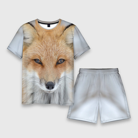 Мужской костюм с шортами 3D с принтом Лиса в Кировске,  |  | animal | baby | fox | look | predator | red | sly | wild | взгляд | дикая | животное | лиса | малыш | рыжая | хитрая | хищник