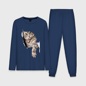 Мужская пижама с лонгсливом хлопок с принтом Кот прорвался в Петрозаводске,  |  | животные | коты | лапа | прорвался