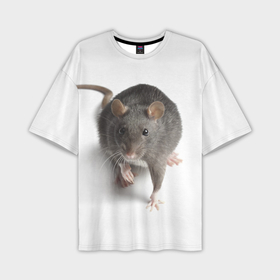 Мужская футболка oversize 3D с принтом Крыса в Петрозаводске,  |  | животные | крыса | мышка | мышь