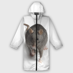 Мужской дождевик 3D с принтом Крыса в Белгороде,  |  | животные | крыса | мышка | мышь