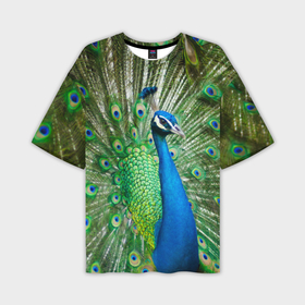 Мужская футболка oversize 3D с принтом Павлин в Петрозаводске,  |  | павлин | перо