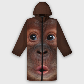 Мужской дождевик 3D с принтом Орангутанг BigFace в Кировске,  |  | Тематика изображения на принте: bigface | глаза | голова | животные | лицо | обезьяна | орангутанг | рот