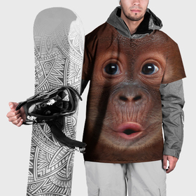 Накидка на куртку 3D с принтом Орангутанг BigFace в Курске, 100% полиэстер |  | bigface | глаза | голова | животные | лицо | обезьяна | орангутанг | рот