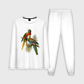 Мужская пижама с лонгсливом хлопок с принтом Попугаи ,  |  | ветки | винтаж | листья | пальмы | перья | попугаи | птицы