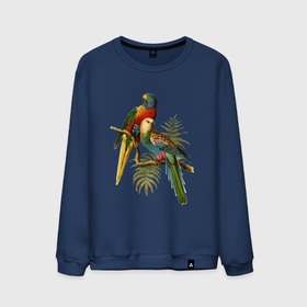 Мужской свитшот хлопок с принтом Попугаи , 100% хлопок |  | ветки | винтаж | листья | пальмы | перья | попугаи | птицы