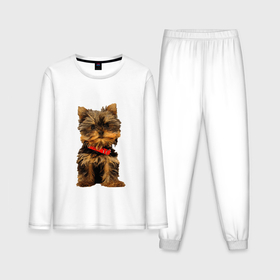Мужская пижама с лонгсливом хлопок с принтом Нарисованный Йорк в Екатеринбурге,  |  | йорк | йоркширский терьер | нарисованная собака | собаки