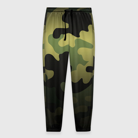 Мужские брюки 3D с принтом Camouflage - Series 3 (Shorts,Pants) в Тюмени, 100% полиэстер | манжеты по низу, эластичный пояс регулируется шнурком, по бокам два кармана без застежек, внутренняя часть кармана из мелкой сетки | 0x000000123 | camo | green | зелёный | камуфляж | спорт