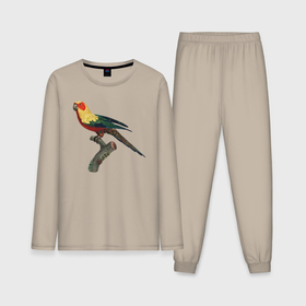 Мужская пижама с лонгсливом хлопок с принтом Попугай аратинга в Курске,  |  | аратинга | бразилия | зоозащита | попугаи | попугайчики | природа | птица | птицы | солнечный