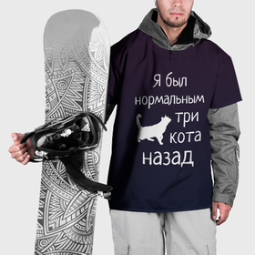 Накидка на куртку 3D с принтом Я был в норме три кота назад в Петрозаводске, 100% полиэстер |  | cats | normal | жизненно | жизнь | котики | коты | котэ | кошатник | кошатница | кошка | кошки | нормальный