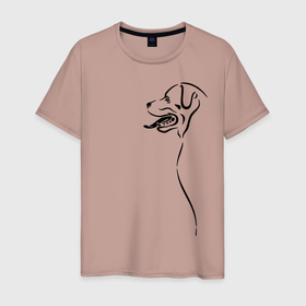 Мужская футболка хлопок с принтом Лабрадор в Санкт-Петербурге, 100% хлопок | прямой крой, круглый вырез горловины, длина до линии бедер, слегка спущенное плечо. | друг | лабрадор | пёс | ретривер | собака