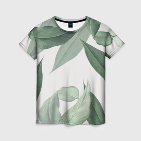 Женская футболка 3D с принтом Из тропиков , 100% полиэфир ( синтетическое хлопкоподобное полотно) | прямой крой, круглый вырез горловины, длина до линии бедер | Тематика изображения на принте: branch | foliage | leafy | nature | ветка | веточка | зеленый | лист | листочки | листья | природа | черный
