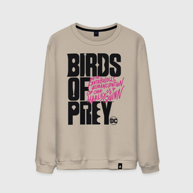 Мужской свитшот хлопок с принтом Birds of Prey logo в Новосибирске, 100% хлопок |  | birds of prey | harley quinn | марго робби | потрясающая история харли квин | харли квин | хищные птицы