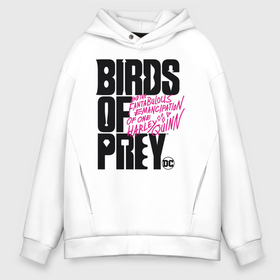 Мужское худи Oversize хлопок с принтом Birds of Prey logo в Екатеринбурге, френч-терри — 70% хлопок, 30% полиэстер. Мягкий теплый начес внутри —100% хлопок | боковые карманы, эластичные манжеты и нижняя кромка, капюшон на магнитной кнопке | Тематика изображения на принте: birds of prey | harley quinn | марго робби | потрясающая история харли квин | харли квин | хищные птицы