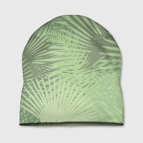 Шапка 3D с принтом В джунгли , 100% полиэстер | универсальный размер, печать по всей поверхности изделия | арт | джунгли | лес | леса | пальма | пальмы | папоротник