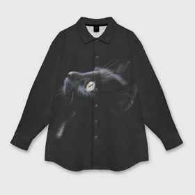 Мужская рубашка oversize 3D с принтом Кот ,  |  | animal | animals | beast | black | cat | kitten | британец | британка | животное | животные | зверек | зверь | кот | котейка | котенок | котики | котэ | кошка | кошки | черная
