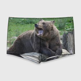 Мужские купальные плавки 3D с принтом Медведь в Петрозаводске, Полиэстер 85%, Спандекс 15% |  | животное | животные | звери | зверь | зверьё | зверьки | зоопарк | медведи | медведь | мишка | мишки | потапыч | природа | природный | фауна | хищник | хищники