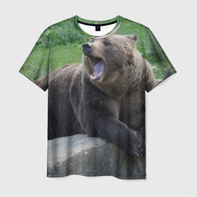 Мужская футболка 3D с принтом Медведь , 100% полиэфир | прямой крой, круглый вырез горловины, длина до линии бедер | животное | животные | звери | зверь | зверьё | зверьки | зоопарк | медведи | медведь | мишка | мишки | потапыч | природа | природный | фауна | хищник | хищники