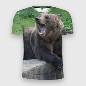 Мужская футболка 3D Slim с принтом Медведь в Новосибирске, 100% полиэстер с улучшенными характеристиками | приталенный силуэт, круглая горловина, широкие плечи, сужается к линии бедра | животное | животные | звери | зверь | зверьё | зверьки | зоопарк | медведи | медведь | мишка | мишки | потапыч | природа | природный | фауна | хищник | хищники