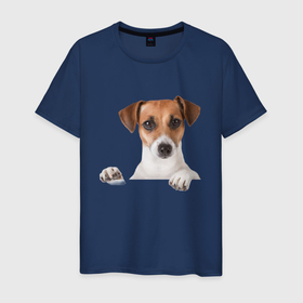 Мужская футболка хлопок с принтом Собака в Екатеринбурге, 100% хлопок | прямой крой, круглый вырез горловины, длина до линии бедер, слегка спущенное плечо. | джек рассел | друг | пес | питомец | собака