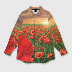 Мужская рубашка oversize 3D с принтом Красный мак на закате ,  |  | Тематика изображения на принте: закат | лето | мак | небо | поле | природа | солнце | текстуры | тренды | цветы