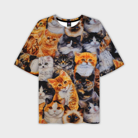 Мужская футболка oversize 3D с принтом Котятки в Новосибирске,  |  | cat | взгляд | кот | кот хипстер | котёнок | котятки | котятушки | кошечки | кошка | мордочка