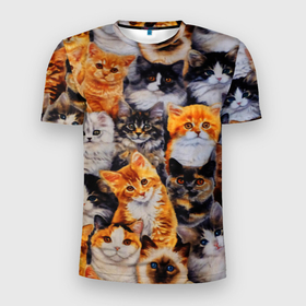 Мужская футболка 3D Slim с принтом Котятки в Белгороде, 100% полиэстер с улучшенными характеристиками | приталенный силуэт, круглая горловина, широкие плечи, сужается к линии бедра | cat | взгляд | кот | кот хипстер | котёнок | котятки | котятушки | кошечки | кошка | мордочка