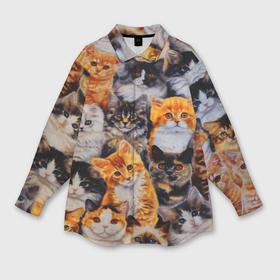 Мужская рубашка oversize 3D с принтом Котятки ,  |  | Тематика изображения на принте: cat | взгляд | кот | кот хипстер | котёнок | котятки | котятушки | кошечки | кошка | мордочка
