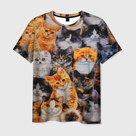 Мужская футболка 3D с принтом Котятки в Курске, 100% полиэфир | прямой крой, круглый вырез горловины, длина до линии бедер | Тематика изображения на принте: cat | взгляд | кот | кот хипстер | котёнок | котятки | котятушки | кошечки | кошка | мордочка