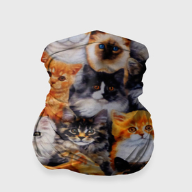 Бандана-труба 3D с принтом Котятки в Новосибирске, 100% полиэстер, ткань с особыми свойствами — Activecool | плотность 150‒180 г/м2; хорошо тянется, но сохраняет форму | cat | взгляд | кот | кот хипстер | котёнок | котятки | котятушки | кошечки | кошка | мордочка