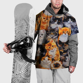 Накидка на куртку 3D с принтом Котятки в Белгороде, 100% полиэстер |  | Тематика изображения на принте: cat | взгляд | кот | кот хипстер | котёнок | котятки | котятушки | кошечки | кошка | мордочка