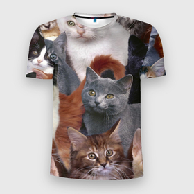 Мужская футболка 3D Slim с принтом Котятки в Курске, 100% полиэстер с улучшенными характеристиками | приталенный силуэт, круглая горловина, широкие плечи, сужается к линии бедра | cat | взгляд | кот | кот хипстер | котёнок | котятки | котятушки | кошечки | кошка | мордочка