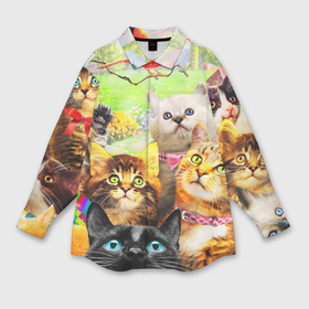 Мужская рубашка oversize 3D с принтом Коты в Санкт-Петербурге,  |  | Тематика изображения на принте: cat | взгляд | кот | кот хипстер | котёнок | котятки | котятушки | кошечки | кошка | мордочка
