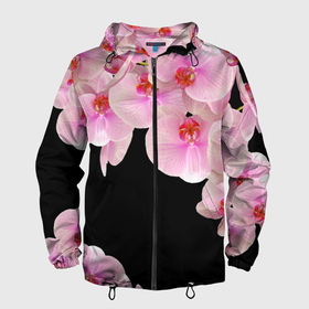 Мужская ветровка 3D с принтом Орхидеи в ночи в Екатеринбурге, 100% полиэстер | подол и капюшон оформлены резинкой с фиксаторами, два кармана без застежек по бокам, один потайной карман на груди | азия | бабочки | бутоны | ветки | девушкам | джунгли | женщинам | лепестки | летний | лето | листья | любовь | март | орхидеи | орхидея | подарок | природа | растения | розовыецветы | сад | тропика
