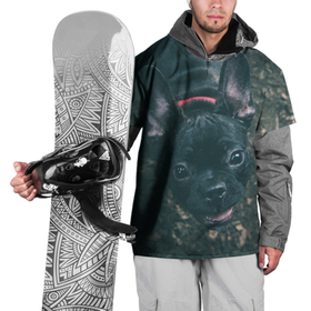 Накидка на куртку 3D с принтом Бульдог морда собакена черного в Курске, 100% полиэстер |  | бульдог | гав | глаза | любимец | любителю животных | ошейник | пес | песель | песик | питомец | псина | псинка | собака | собакен | собачка | собачник | уши | черный | язык