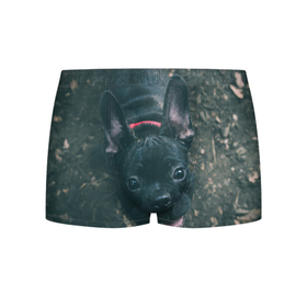 Мужские трусы 3D с принтом Бульдог морда собакена черного в Белгороде, 50% хлопок, 50% полиэстер | классическая посадка, на поясе мягкая тканевая резинка | бульдог | гав | глаза | любимец | любителю животных | ошейник | пес | песель | песик | питомец | псина | псинка | собака | собакен | собачка | собачник | уши | черный | язык