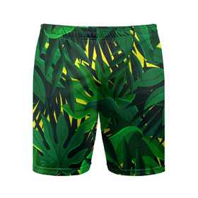 Мужские шорты спортивные с принтом В джунглях в Белгороде,  |  | nature | summer | азия | бали | бамбук | деревья | джунгли | жара | зелень | кусты | лес | летний | лето | листья | море | острова | отдых | отпуск | пальмы | папоротник | пляж | природа | растения | солнце