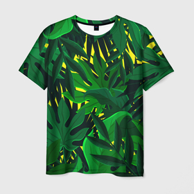 Мужская футболка 3D с принтом В джунглях в Кировске, 100% полиэфир | прямой крой, круглый вырез горловины, длина до линии бедер | nature | summer | азия | бали | бамбук | деревья | джунгли | жара | зелень | кусты | лес | летний | лето | листья | море | острова | отдых | отпуск | пальмы | папоротник | пляж | природа | растения | солнце