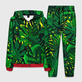Мужской костюм 3D с принтом В джунглях в Белгороде, 100% полиэстер | Манжеты и пояс оформлены тканевой резинкой, двухслойный капюшон со шнурком для регулировки, карманы спереди | Тематика изображения на принте: nature | summer | азия | бали | бамбук | деревья | джунгли | жара | зелень | кусты | лес | летний | лето | листья | море | острова | отдых | отпуск | пальмы | папоротник | пляж | природа | растения | солнце