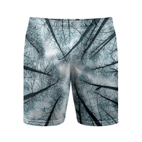 Мужские шорты спортивные с принтом Деревья вид снизу мрачный в Белгороде,  |  | ветки | вид снизу | деревья | лес | мрачный | необычный | природа