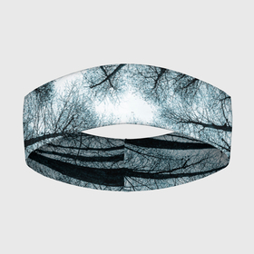 Повязка на голову 3D с принтом Деревья вид снизу мрачный в Курске,  |  | ветки | вид снизу | деревья | лес | мрачный | необычный | природа