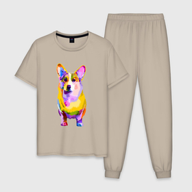 Мужская пижама хлопок с принтом Радужный корги в Санкт-Петербурге, 100% хлопок | брюки и футболка прямого кроя, без карманов, на брюках мягкая резинка на поясе и по низу штанин
 | корги | корги лапа | милый корги | радуга | радужная собака | радужный корги | разноцветный корги | собака | цветной корги