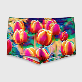 Мужские купальные плавки 3D с принтом Тюльпаны в Тюмени, Полиэстер 85%, Спандекс 15% |  | exclusive merch | аромат | голландия | каникулы | лето | отпуск | популярные | растения | тренды | тюльпаны | цветы