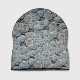 Шапка 3D с принтом Каменные лица 3D МЕМ 2020 в Тюмени, 100% полиэстер | универсальный размер, печать по всей поверхности изделия | my stone. | каменные лица | камни с человеческими лицами | мем