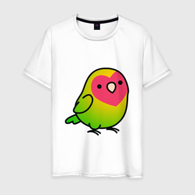 Мужская футболка хлопок с принтом Папугай в Кировске, 100% хлопок | прямой крой, круглый вырез горловины, длина до линии бедер, слегка спущенное плечо. | арт | волнистые попугайчики | волнистый попугай | животные | картинка | папуги | попугаи | попугайчики | птица | птицы | рисунок