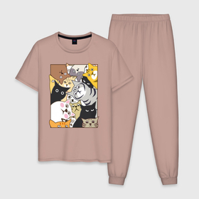 Мужская пижама хлопок с принтом Котики Шпионы в Белгороде, 100% хлопок | брюки и футболка прямого кроя, без карманов, на брюках мягкая резинка на поясе и по низу штанин
 | Тематика изображения на принте: anime | art | casual | cat | cats | cute | funny | kawaii | kitty | meme | memes | pussy | selfie | аниме | арт | животные | каваи | кавай | кот | коте | котик | котики | коты | кошка | кэжуал | мем | мемы | милота | приколы | прикольные | се