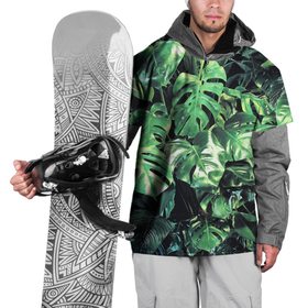 Накидка на куртку 3D с принтом ЛИСТЬЯ , 100% полиэстер |  | Тематика изображения на принте: summer | tropic | жара | летний | лето | отдых | пальмы | природа | текстура | тропикано | тропики