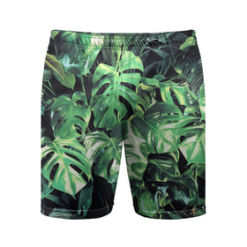 Мужские шорты спортивные с принтом ЛИСТЬЯ ,  |  | summer | tropic | жара | летний | лето | отдых | пальмы | природа | текстура | тропикано | тропики