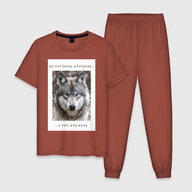 Мужская пижама хлопок с принтом волк в Новосибирске, 100% хлопок | брюки и футболка прямого кроя, без карманов, на брюках мягкая резинка на поясе и по низу штанин
 | ауф | волк | волки | фразы ауф | цитаты | цитаты ауф | цитаты про волка