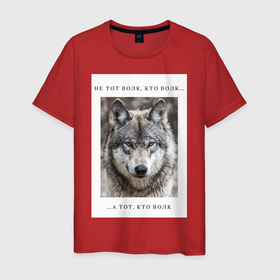 Мужская футболка хлопок с принтом волк в Санкт-Петербурге, 100% хлопок | прямой крой, круглый вырез горловины, длина до линии бедер, слегка спущенное плечо. | ауф | волк | волки | фразы ауф | цитаты | цитаты ауф | цитаты про волка